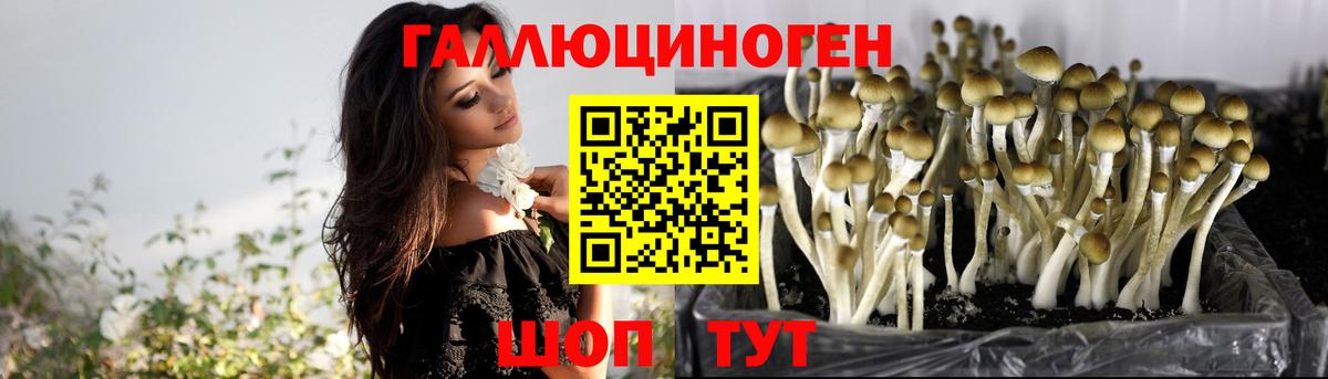 Галлюциногенные грибы GOLDEN TEACHER  Вход с VPN  Джанкой 
